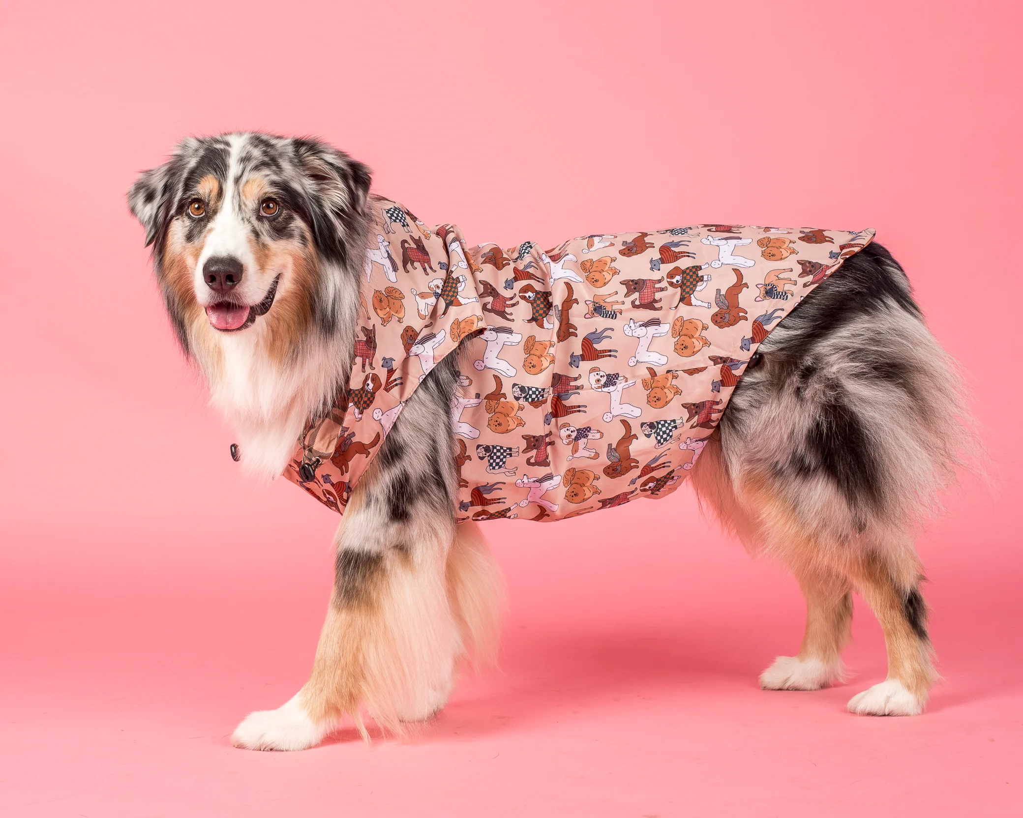 Winter Pooches / Kensington: Raincoat - Image 2