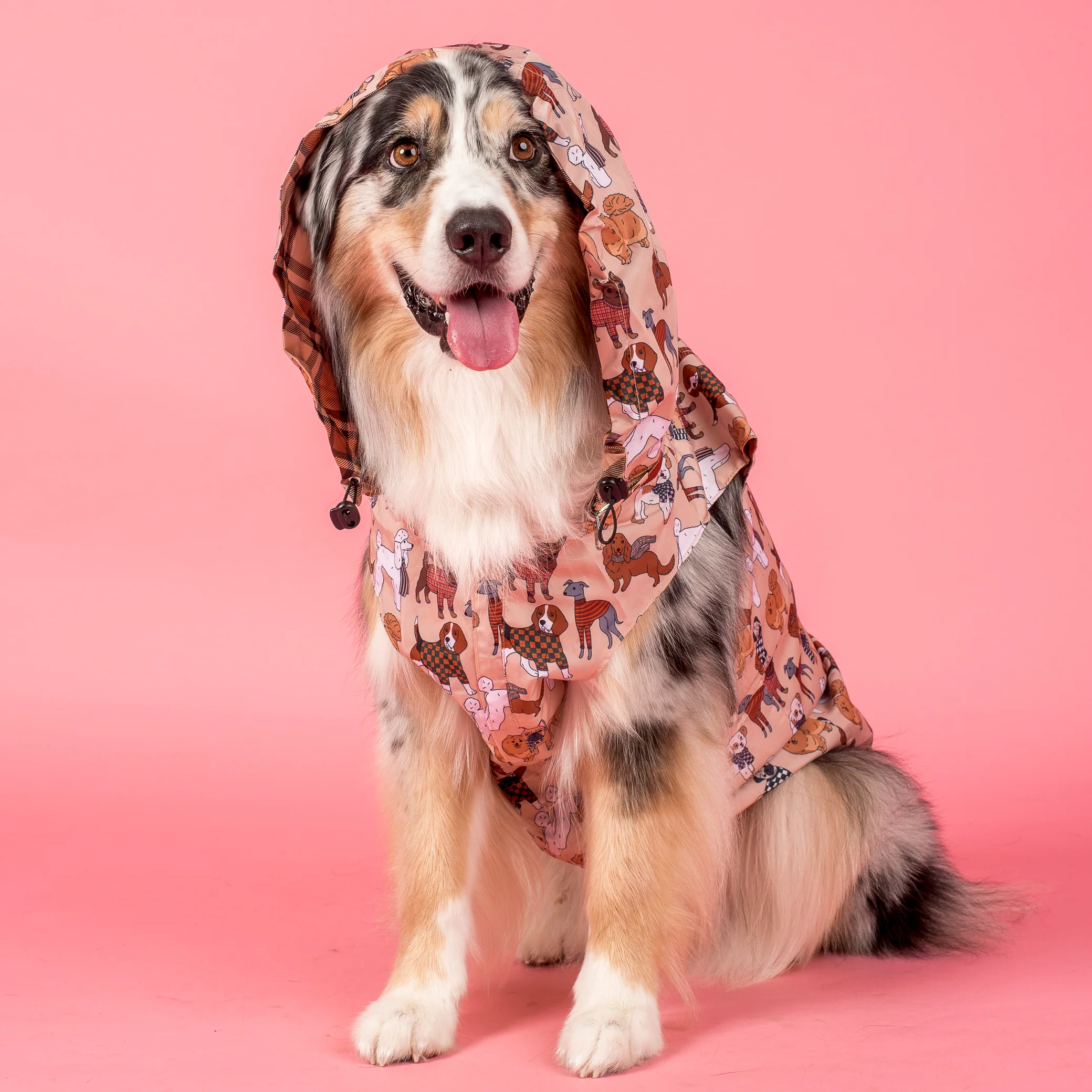 Winter Pooches / Kensington: Raincoat - Image 4
