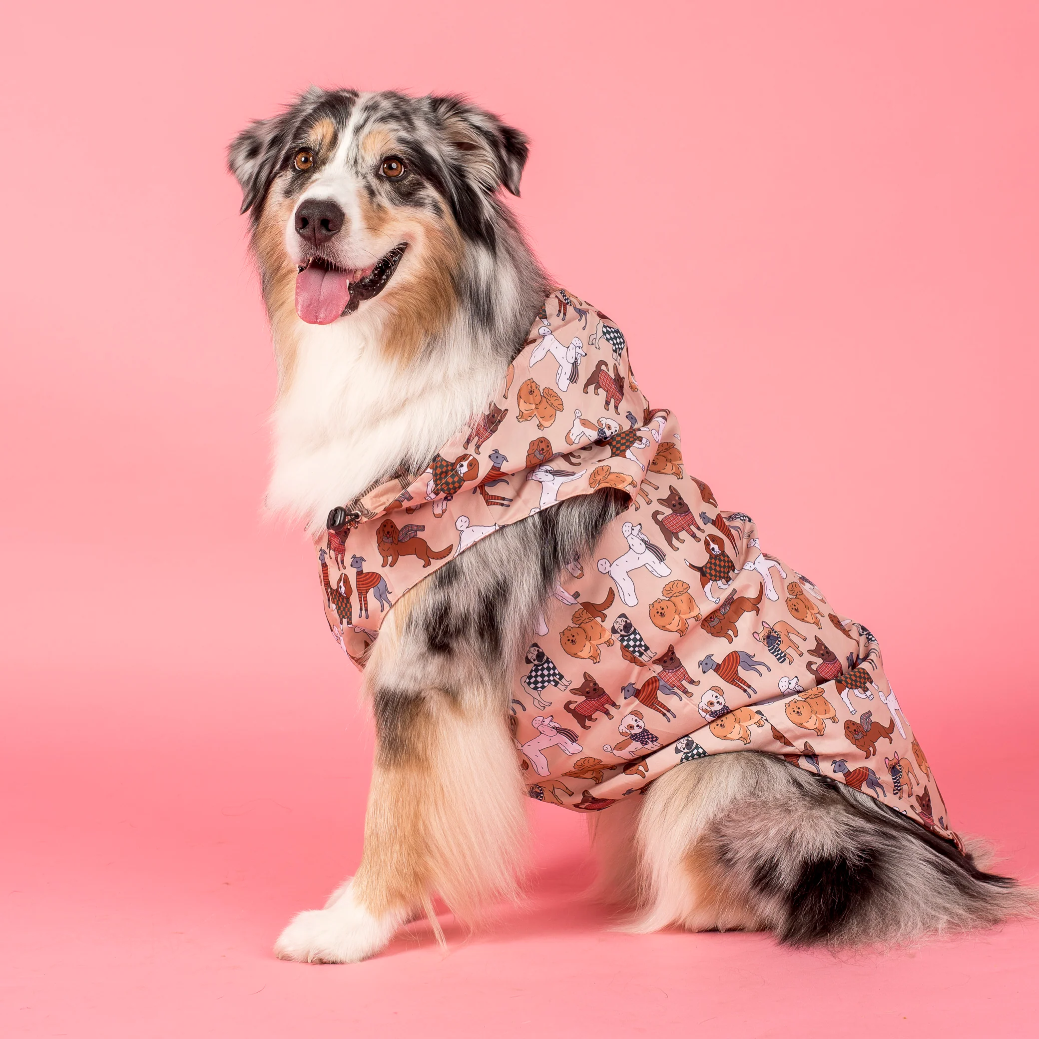 Winter Pooches / Kensington: Raincoat - Image 5
