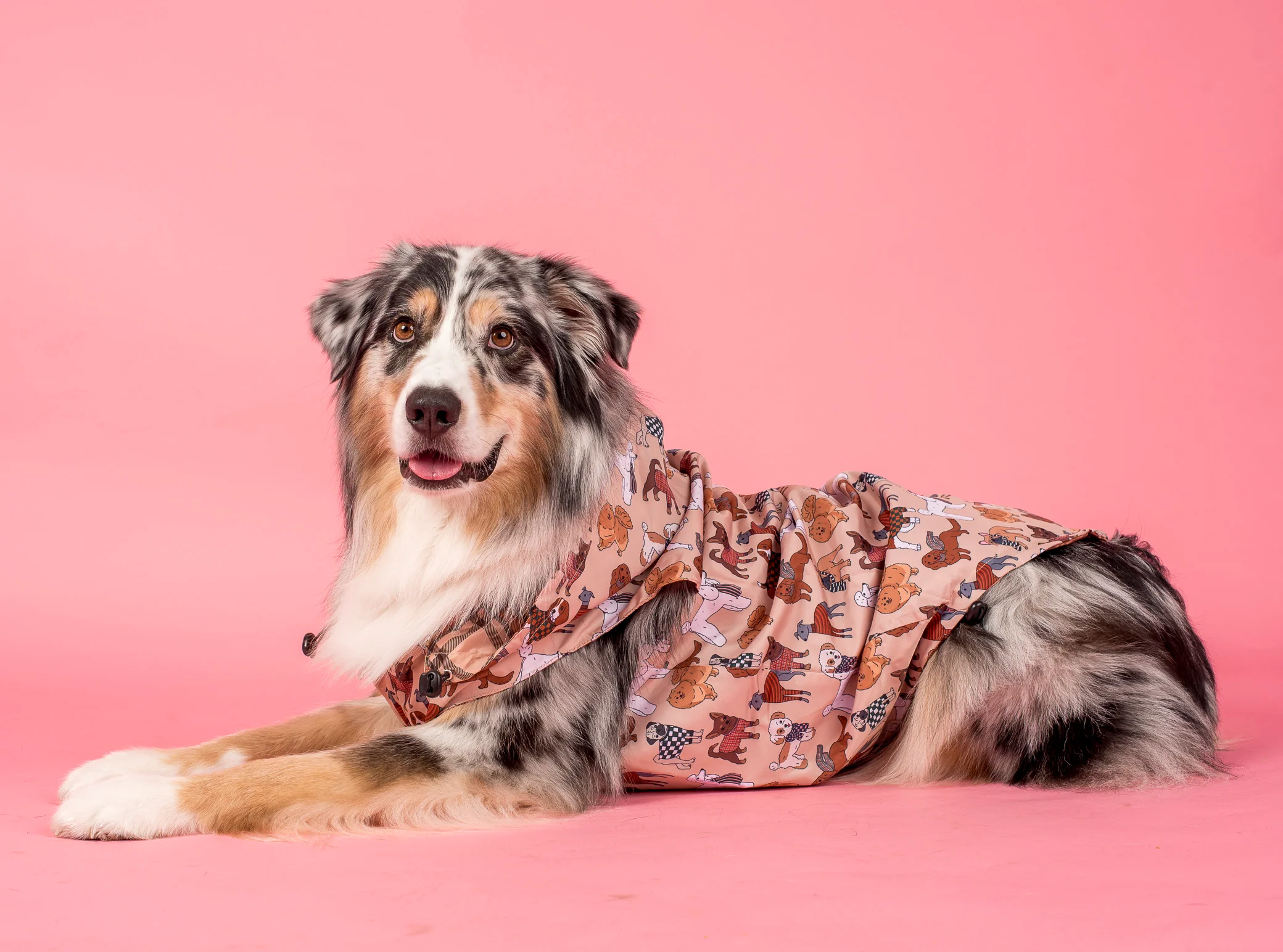 Winter Pooches / Kensington: Raincoat - Image 6