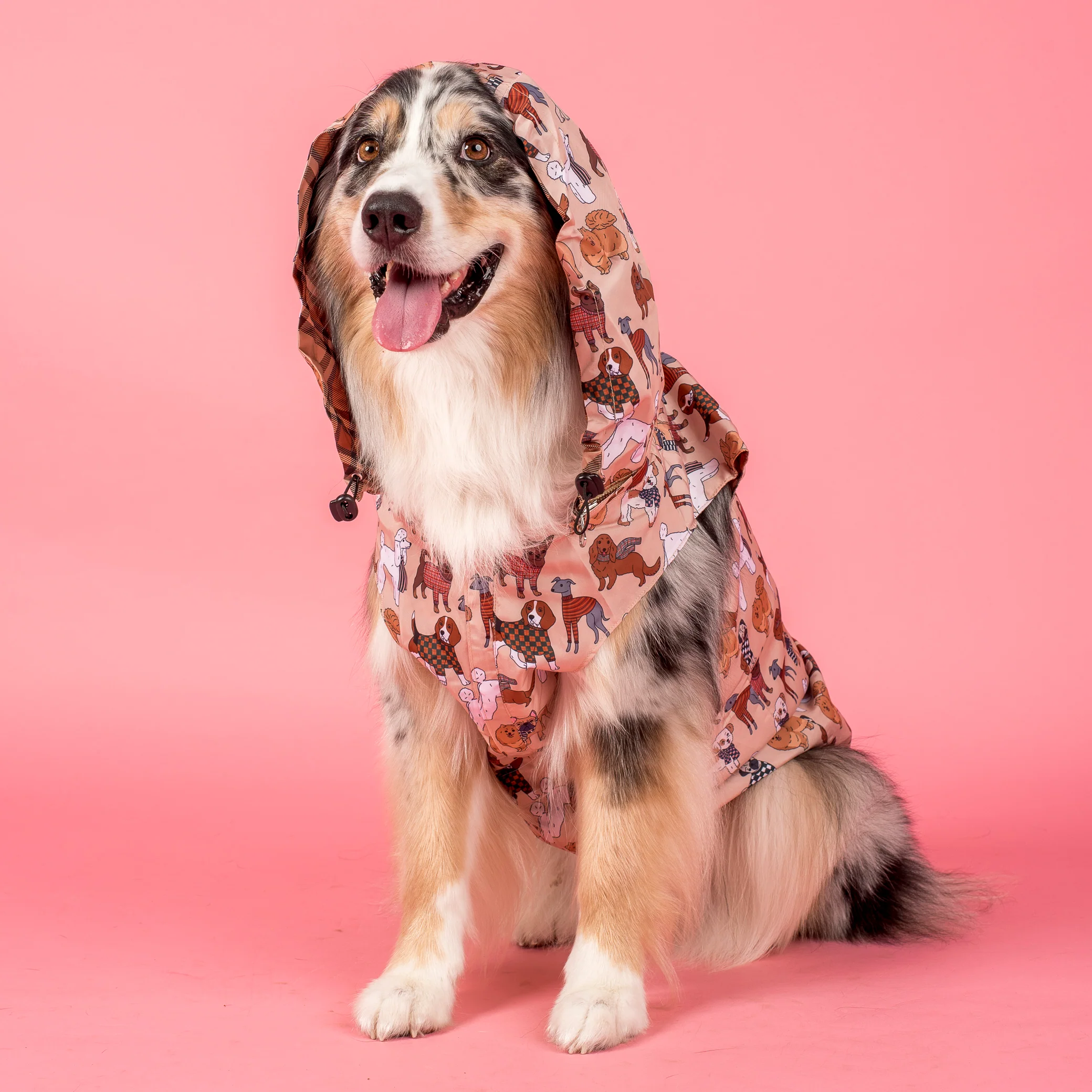 Winter Pooches / Kensington: Raincoat - Image 7