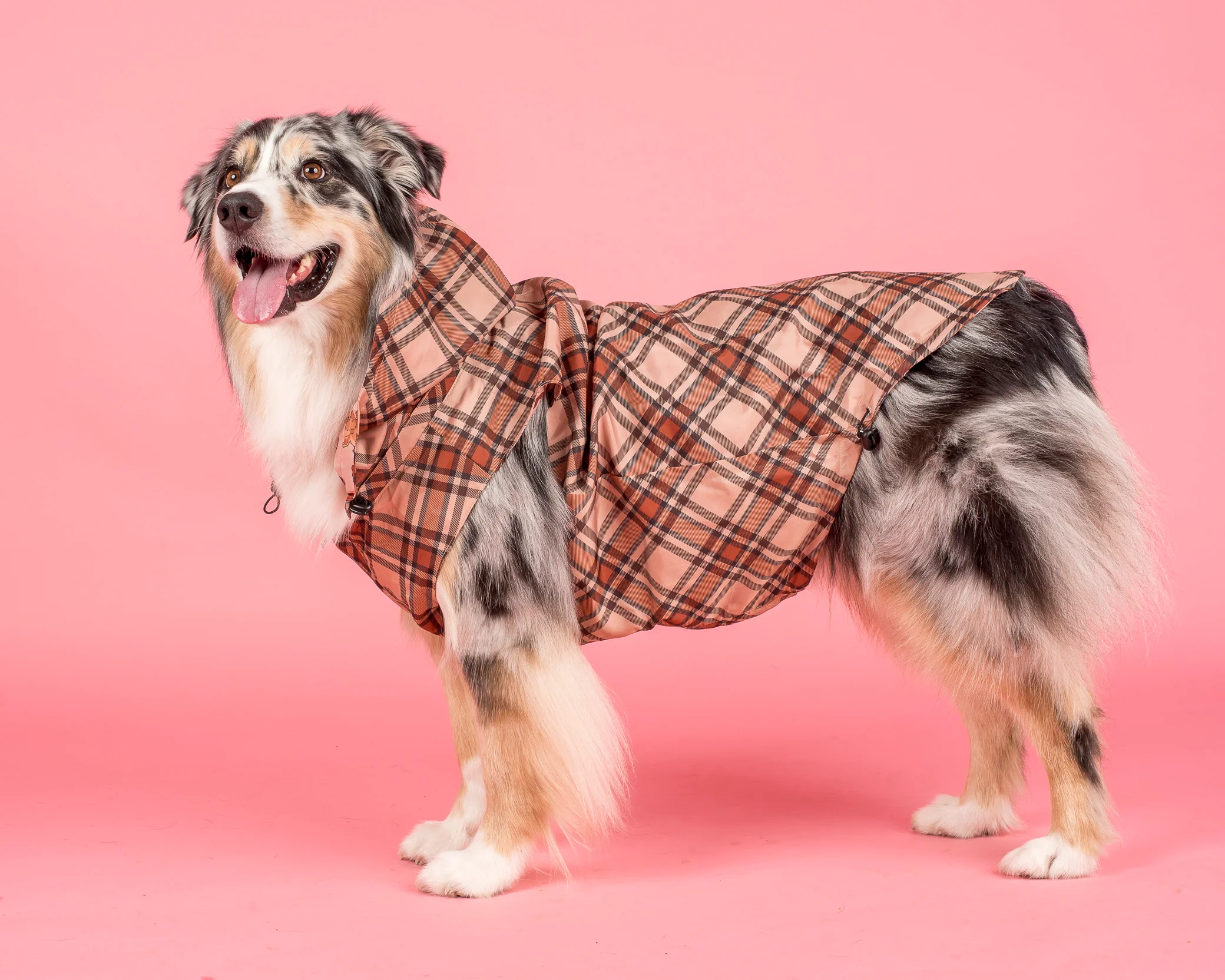 Winter Pooches / Kensington: Raincoat - Image 8