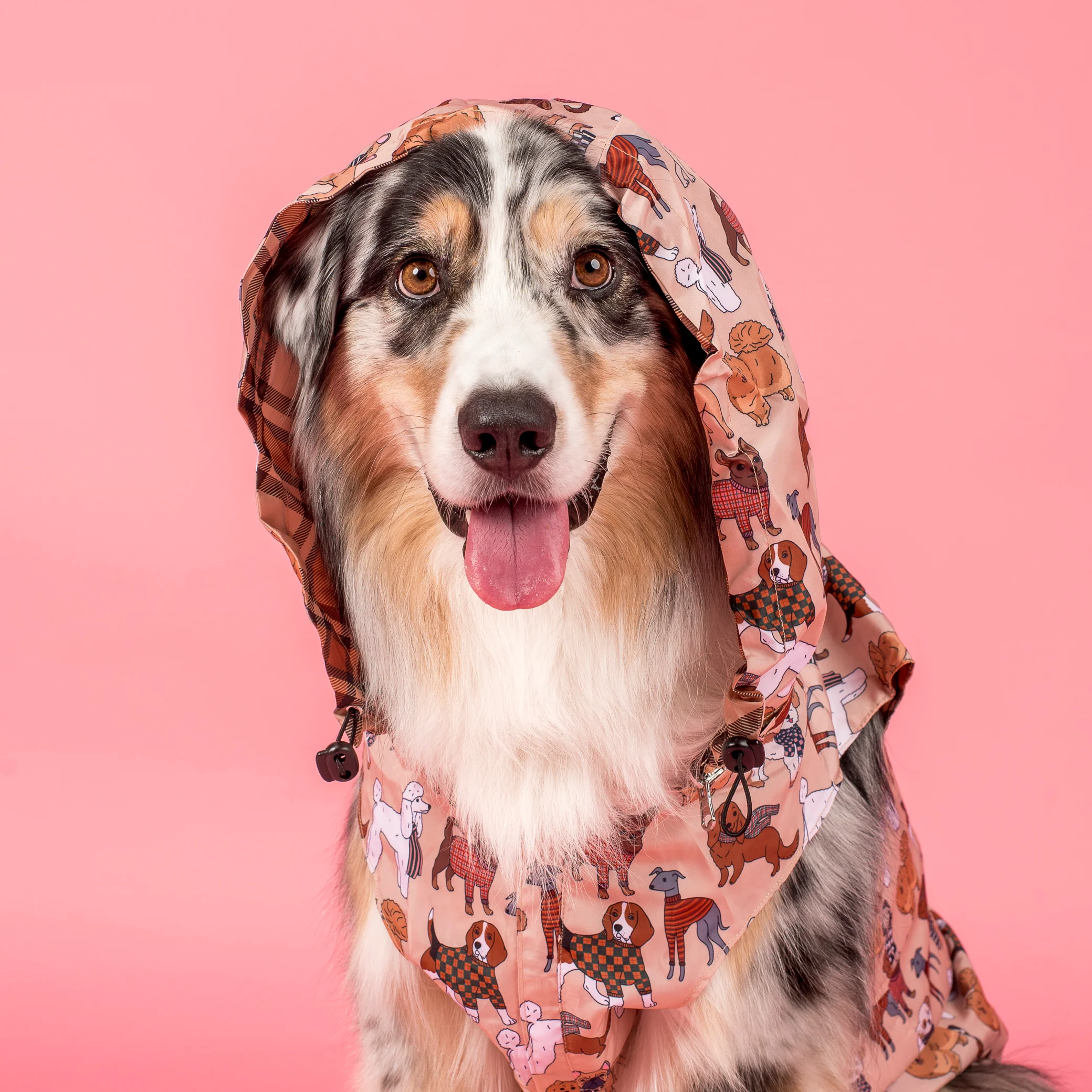 Winter Pooches / Kensington: Raincoat - Image 9