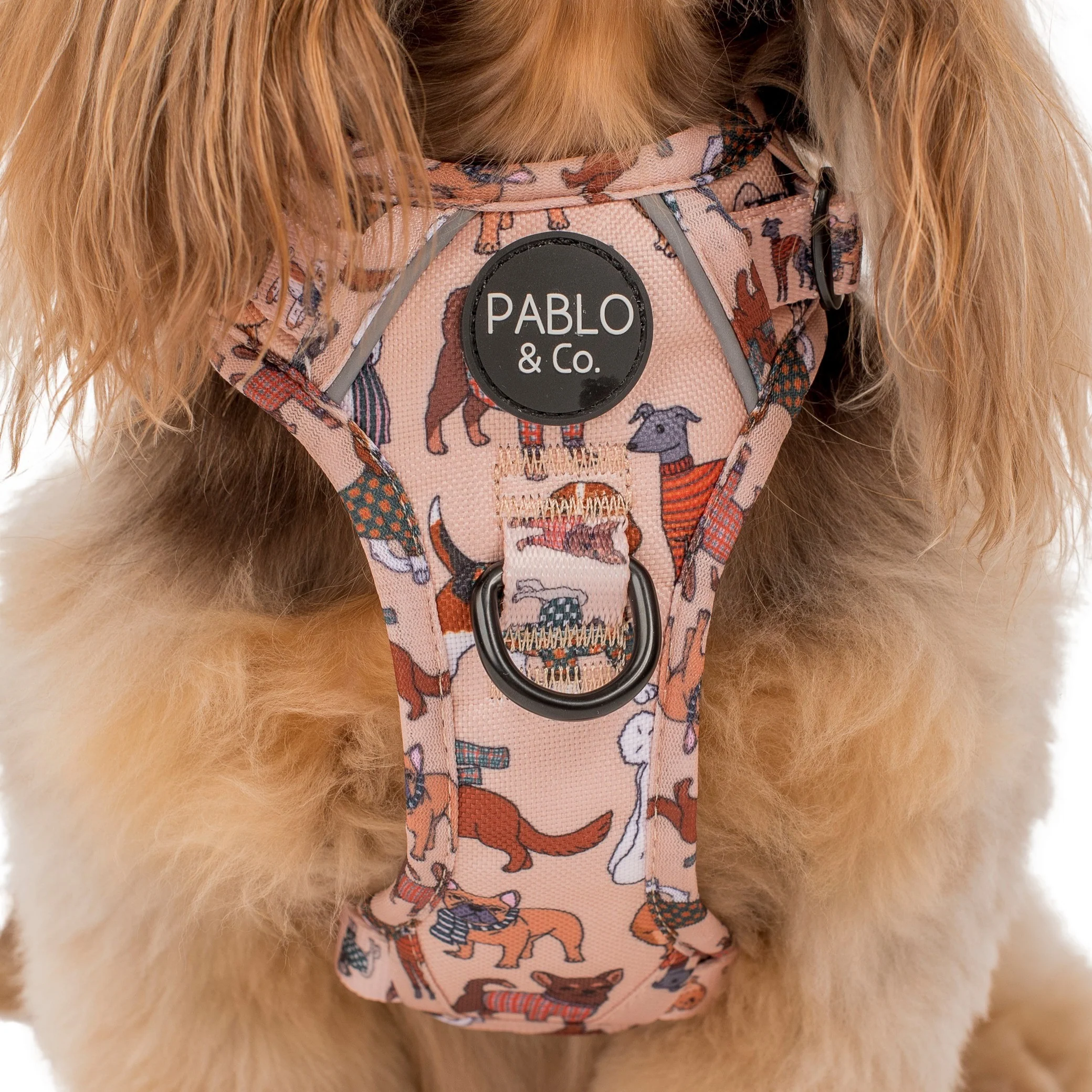 Winter Pooches: No Pull Adventure Harness - Image 2