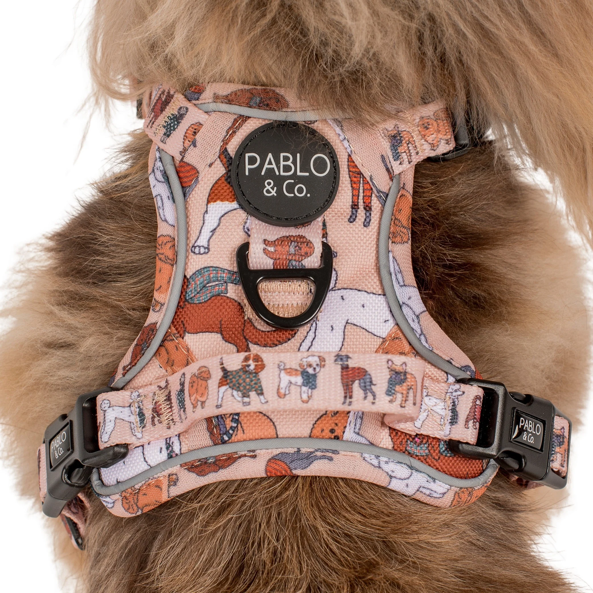 Winter Pooches: No Pull Adventure Harness - Image 3