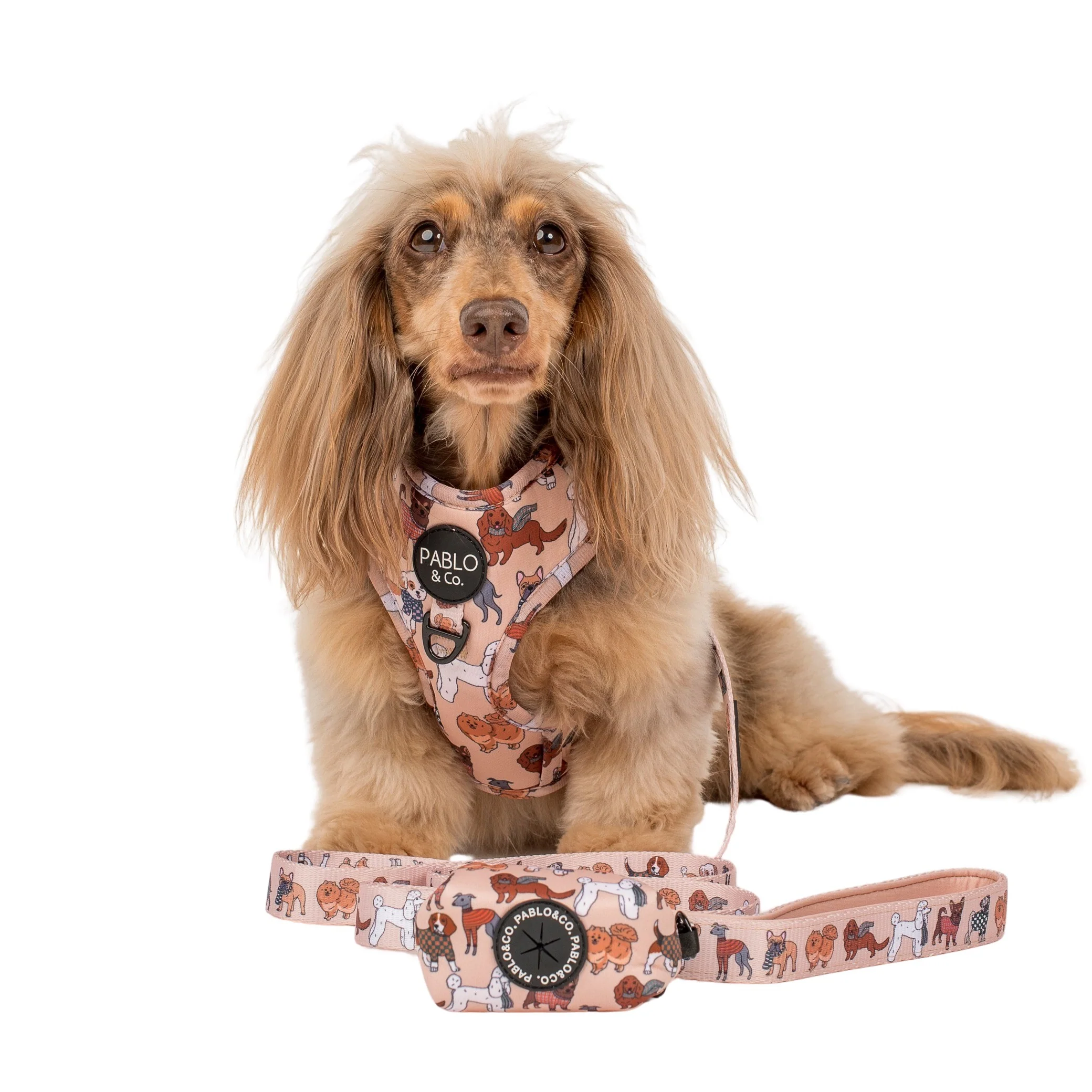 Winter Pooches - Poop Bag Holder - Image 4