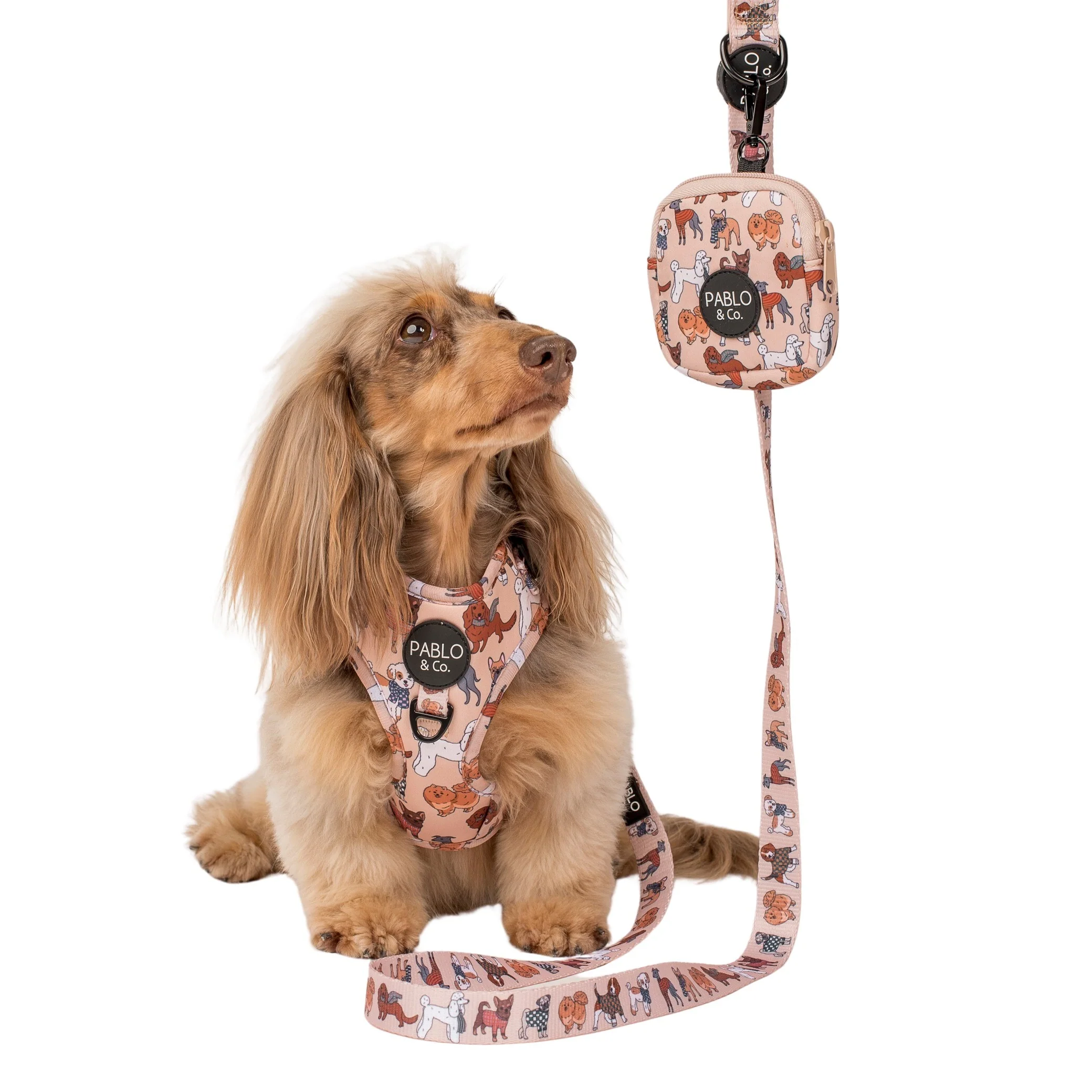 Winter Pooches: Treat Pouch - Image 2
