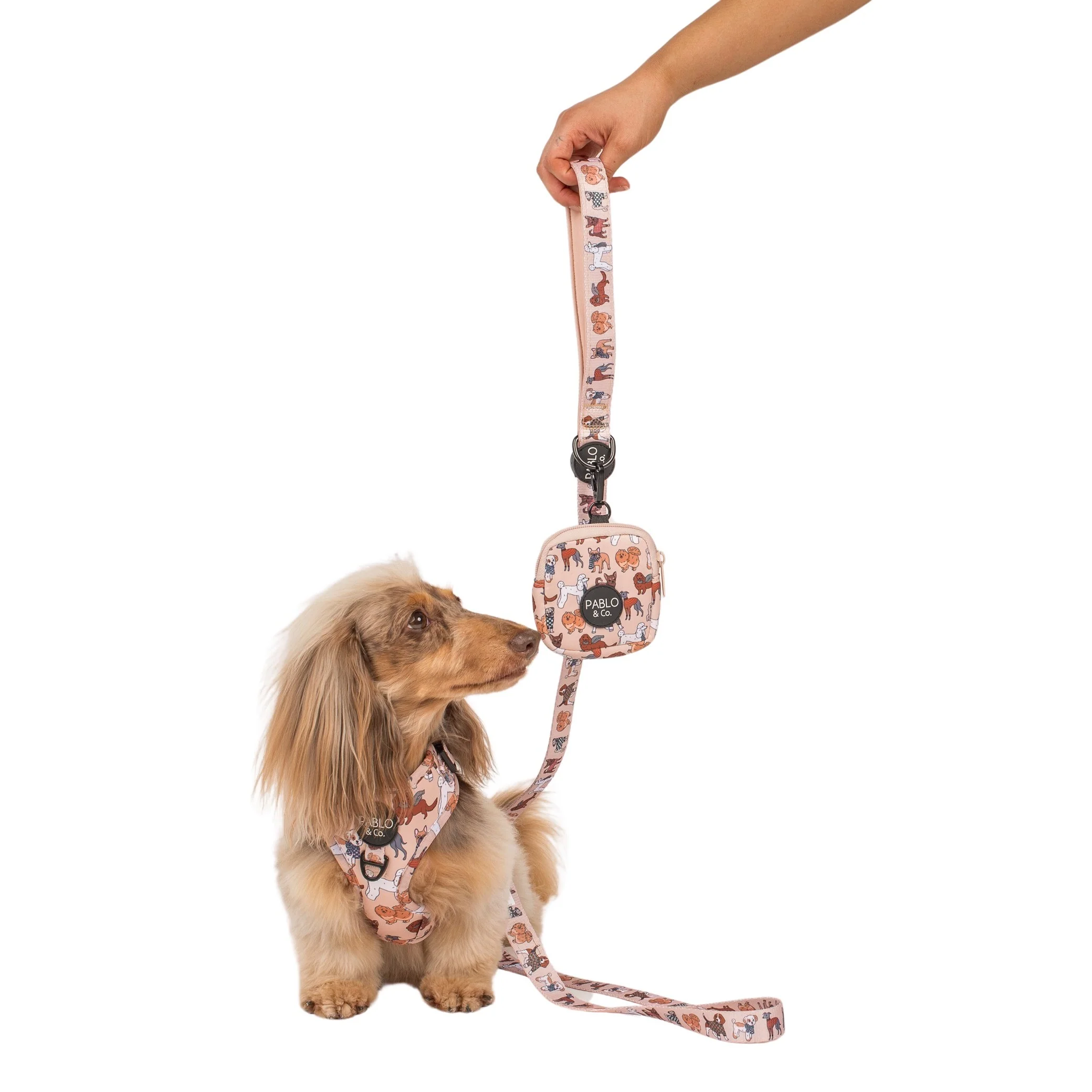Winter Pooches: Treat Pouch - Image 4