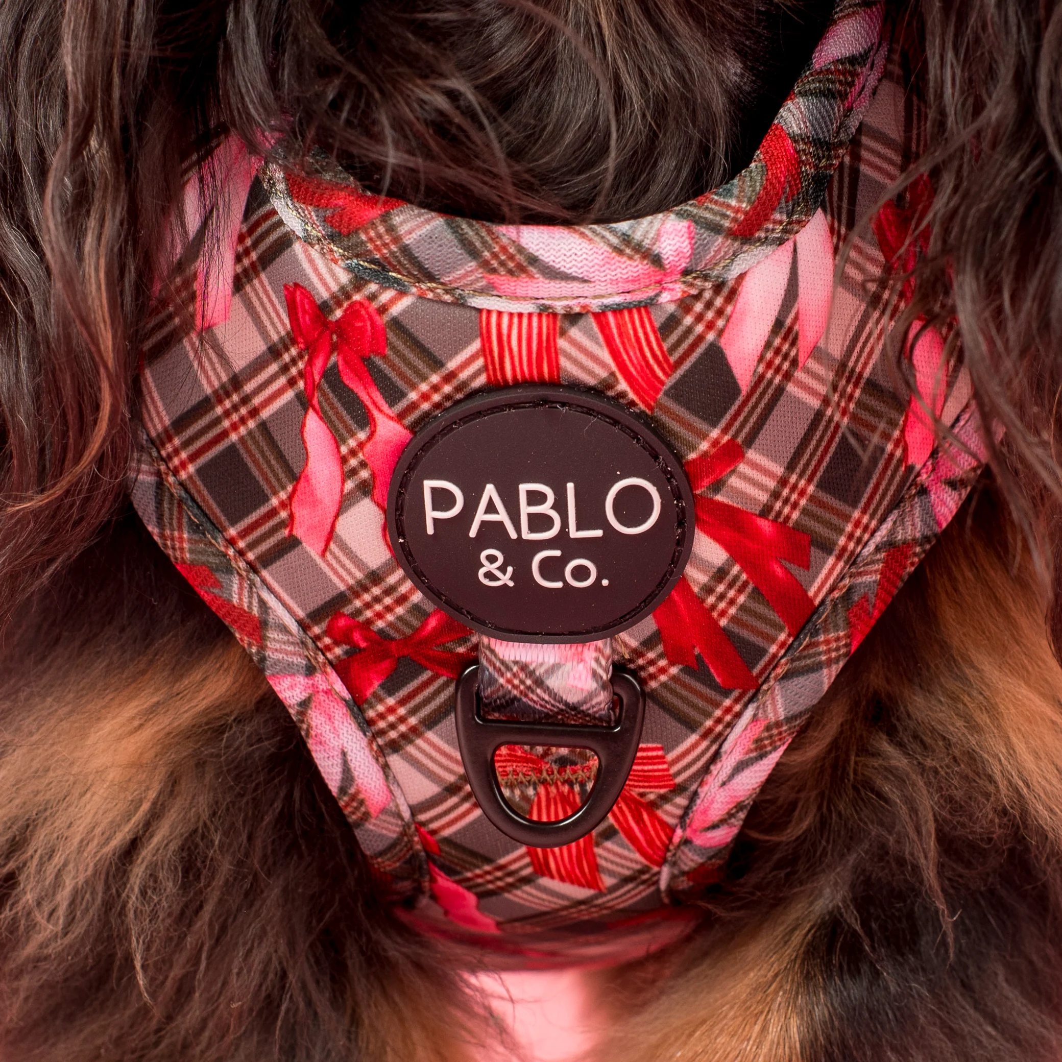 Wrapped in Ribbons: Adjustable Harness - Image 2