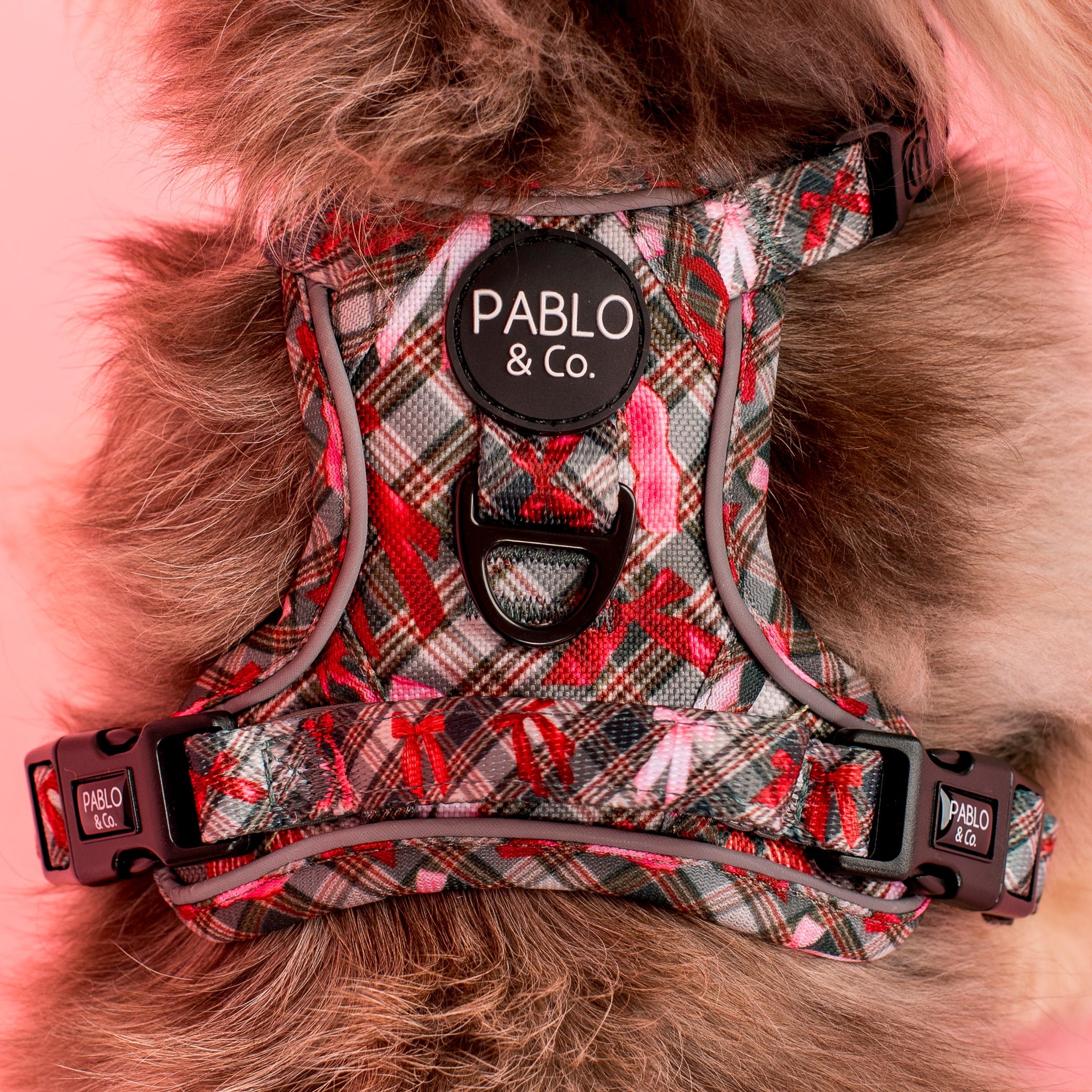 Wrapped in Ribbons: No Pull Adventure Harness - Image 3