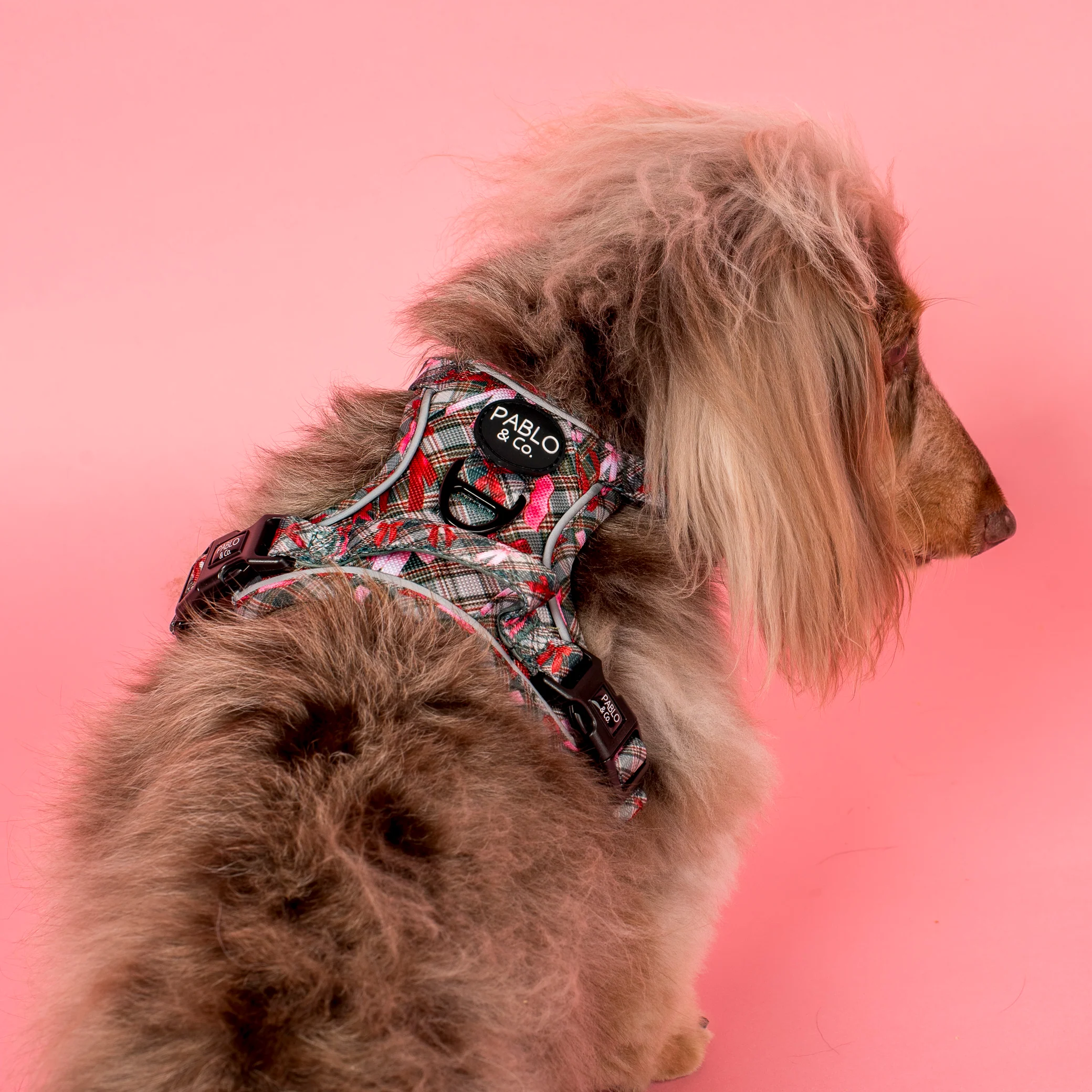 Wrapped in Ribbons: No Pull Adventure Harness - Image 4