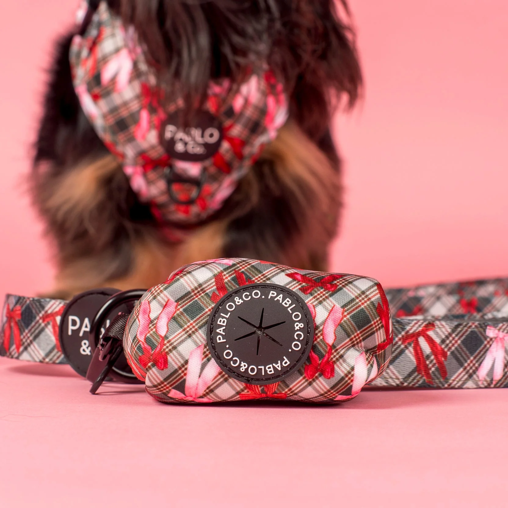 Wrapped in Ribbons: Poop Bag Holder