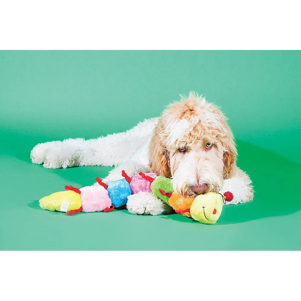 Zippy Paws: Colourful Caterpillar - Image 2
